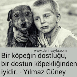 Bir köpeğin dostluğu, bir dostun köpekliğinden iyidir.  – Yılmaz Güney