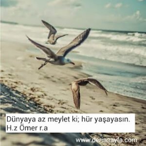 Dünyaya az meylet ki; hür yaşayasın. H.z Ömer r.a