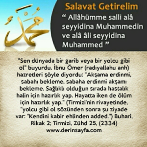 Sen dünyada bir garib veya bir yolcu gibi ol. Hz. Muhammed (S.A.V) (Tirmizi)
