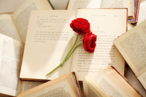 Hiç beklemedik anda çiçek açar
bağrında,
Nasip de Rabbine bırak. . .