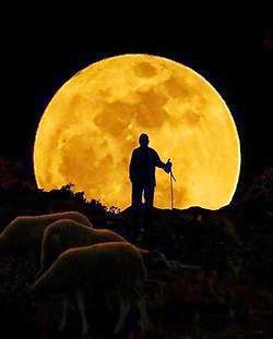 “Başkalarının düzeltmek için önce kendinizi düzeltiniz.” Hz. Ömer (r.a)