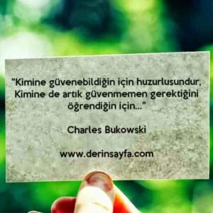 "Kimine güvenebildiğin için huzurlusundur,
Kimine de artık güvenmemen gerektiğini öğrendiğin için…"
– Charles Bukowski
