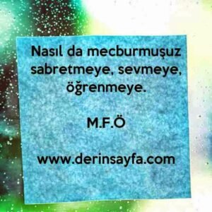 Nasıl da mecburmuşuz sabretmeye, sevmeye, öğrenmeye.

M.F.Ö