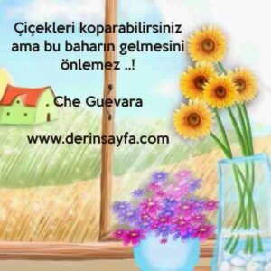 Çiçekleri koparabilirsiniz ama bu baharın gelmesini
önlemez ..!