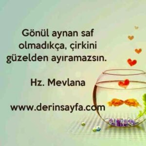 Gönül aynan saf olmadıkça, çirkini güzelden ayıramazsın.