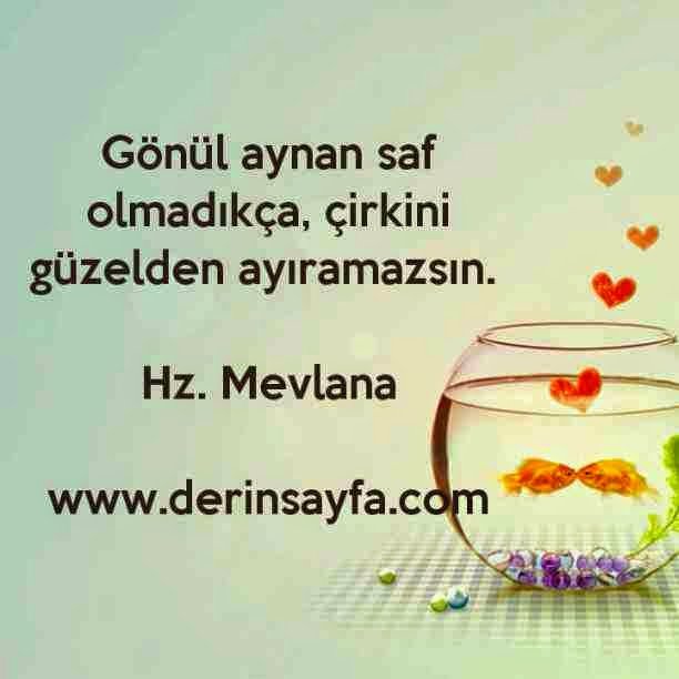 Gönül aynan saf olmadıkça, çirkini güzelden ayıramazsın.

| Hz