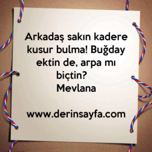 Arkadaş sakın kadere kusur bulma! Buğday ektin de, arpa mı biçtin? –
Mevlana