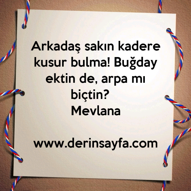Arkadaş sakın kadere kusur bulma! Buğday ektin de, arpa mı biçtin? –
Mevlana