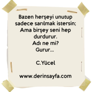 Bazen herşeyi unutup sadece sarılmak istersin;
Ama birşey seni hep durdurur.
Adı ne mi?
Gurur… Can Yücel