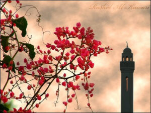 “Kâfirlere kıymet vermek, müslümanlığı aşağılamak olur.”  İmam