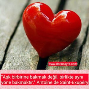 “Aşk birbirine bakmak değil, birlikte aynı yöne bakmaktır.” Antoine de Saint