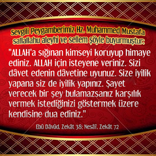 ALLAH’a sığınan kimseyi koruyup himaye ediniz – Ebû Dâvûd, Zekât 38; Nesâî, Zekât 72