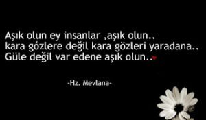 AŞIK olun ey insanlar AŞIK olun kara gözlere degil, kara gözleri yaradana … Güllere değil var edene AŞIK OLUN… HZ MEVLANA
