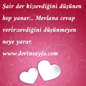 Şair der ki;sevdiğini düşünen hep yanar…  Mevlana cevap verir:sevdiğini düşünmeyen neye yarar.