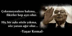 Çekemeyenlere bakma,
fikirler hep ayrı olur.
Hiç bir aşkı sözle yıkma,
söz yarası ağır olur…
Yaşar Kemal