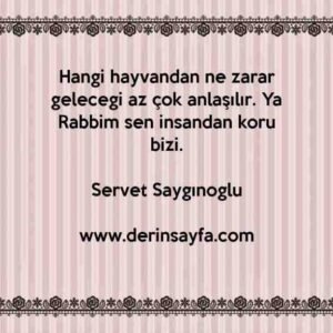 Hangi hayvandan ne zarar gelecegi az çok anlaşılır. Ya
Rabbim sen insandan koru bizi.
– Servet Saygınoğlu