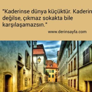 "Kaderinse dünya küçüktür.
Kaderin değilse,
çıkmaz sokakta bile karşılaşamazsın."