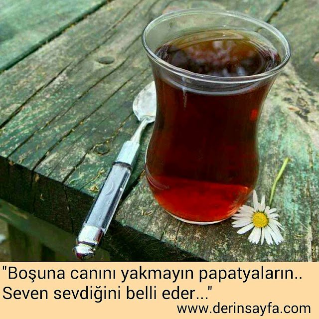 ''Boşuna canını yakmayın papatyaların..
Seven sevdiğini belli eder…''