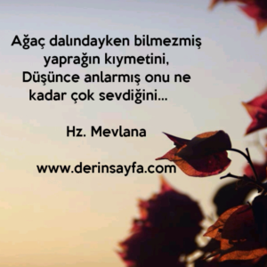 Ağaç dalındayken bilmezmiş yaprağın kıymetini,
Düşünce anlarmış onu ne kadar çok sevdiğini… Hz. Mevlana
