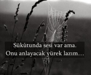 Sukütunda bir sesi var ama;
Onu anlayacak yürek lâzım. ..