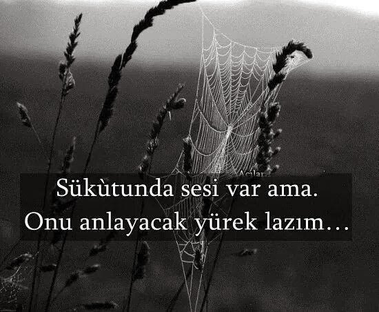 Sukütunda bir sesi var ama;
Onu anlayacak yürek lâzım. ..