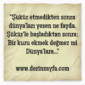 Şükür etmedikten sonra dünyaları yesen ne fayda!.. Şems