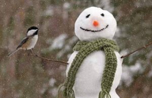 “ Gökten karı kulları incinmesin diye usul usul, Yumuşakça indiren, Rahman’a şükürler olsun. .”