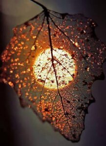 Geç gelen teselli idamdan sonra ki affa
benzer.
– William Shakespeare