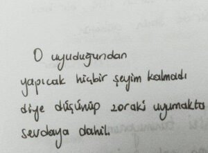 O
uyuduğunda yapacak hiçbir şeyim
kalmadı diye düşünüp, zoraki
uyumak…