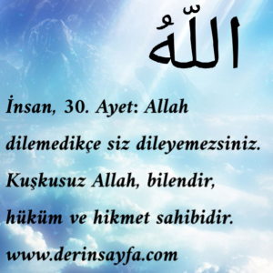 İnsan, 30. Ayet: Allah dilemedikçe siz dileyemezsiniz.