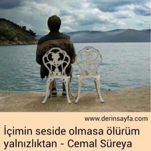İçimin seside olmasa ölürüm 
yalnızlıktan – Cemal Süreya