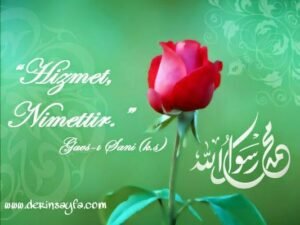 ” Hizmet aşkı içinde olmamız gerekir.  Etrafımızdaki bütün gaflet ehlinden sorumluyuz.”  Gavs