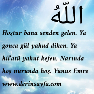 Narında hoş nurunda hoş – Yunus Emre