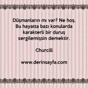 Düşmanların mı var? Ne hoş. Bu hayatta bazı konularda karakterli bir duruş sergilemişsin demektir.
– Churcill