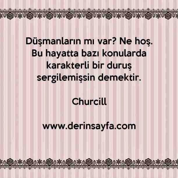 Düşmanların mı var? Ne hoş. Bu hayatta bazı konularda karakterli bir duruş sergilemişsin demektir.
– Churcill
