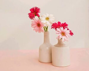 "Nice küçük işler vardır ki, niyet onu
büyük kılar.
Rabiatü'l Adeviyye (k.s)