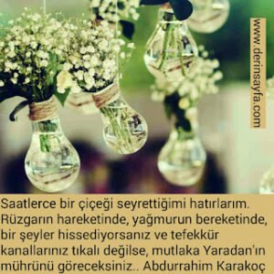 Saatlerce bir çiçeği seyrettiğimi hatırlarım. Rüzgarın hareketinde, yağmurun bereketinde.. Abdurrahim Karakoç