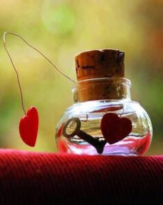 İnsanların çoğu kaybetmekten korktuğu için, sevmekten korkuyor