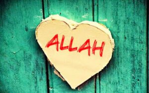 “Biz Maya takvimine göre değil Allah’ın takdirine göre yaşıyoruz.”