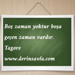 Boş zaman yoktur boşa geçen zaman vardır.( Tagore )