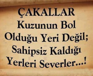 Çakallar kuzunun bol olduğu yeri değil, sahipsiz kaldığı yeri severler.