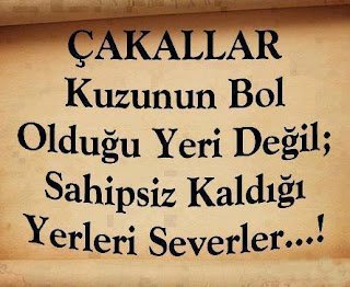 Çakallar kuzunun bol olduğu yeri değil, sahipsiz kaldığı yeri severler.