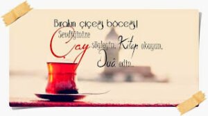 Bırakın çiçeği böceği, sevdiğinize çay söyleyin. Kitap okuyun.. Dua edin. (: