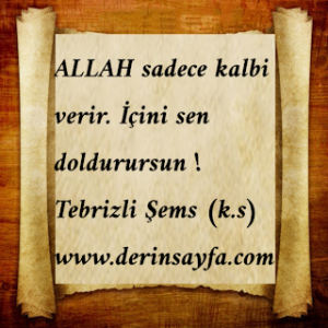 ALLAH sadece kalbi verir. İçini sen doldurursun !   Tebrizli Şems (k.s)