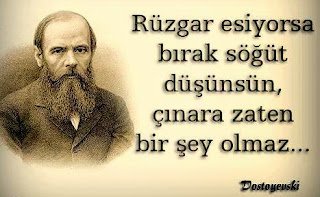Rüzgâr esiyorsa bırak söğüt düşünsün, çınara zaten bir şey olmaz !