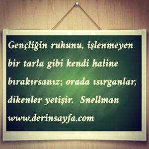 Gençliğin ruhunu, işlenmeyen bir tarla gibi kendi haline bırakırsanız, orada ısırganlar, dikenler yetişir.! Snellman