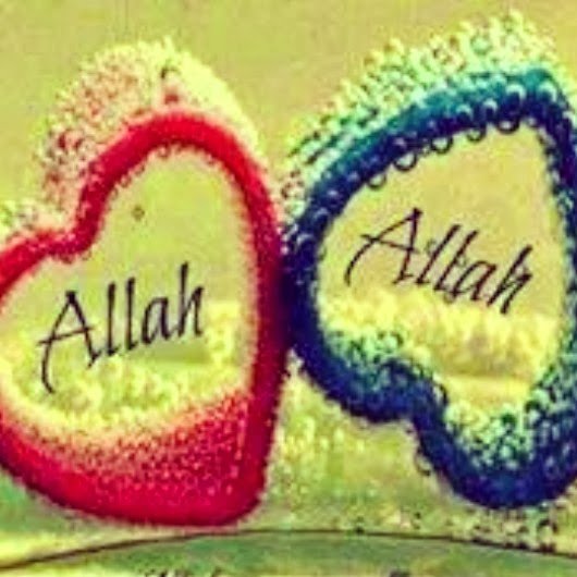 "Gülü kırmızı, göğü mavi kılan; yere
çekim, suya da kaldırma gücünü veren
kudret.."
-M