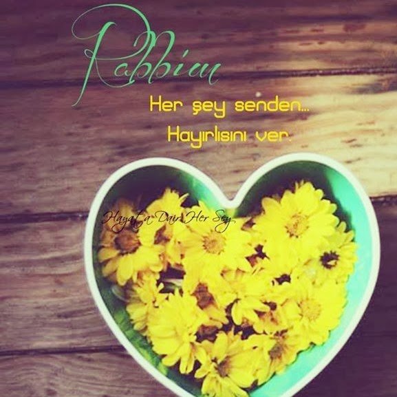 Rabbim,
Her şey senden…
Hayırlısını ver.
| Mehmet Deveci