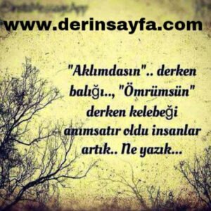 " Aklımdasın" derken balığı,
"Ömrümsün" derken kelebeği
anımsatır oldu insanlar artık ne
yazık..