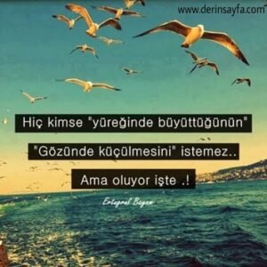 Hiç kimse "yüreğinde büyüttüğünün" ,
"Gözünde küçülmesini" istemez.. Ertuğrul Bayam